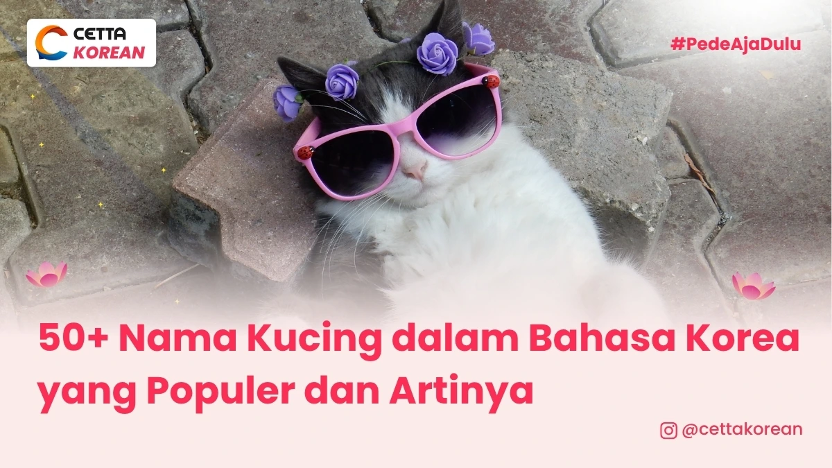 seekor kucing yang memiliki nama korea populer untuk hewan p eliharaan