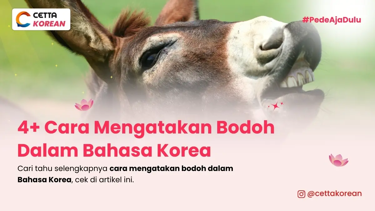 gambar keledai