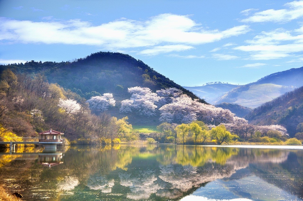 liburan di Korea
